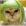 user_photo